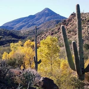 1-2 Hour Jewel of the Creek Private Guided Hiking Tour at Oregano’s, Phoenix, United States Lizp.com Special Offers, Deals & Discounts in USA