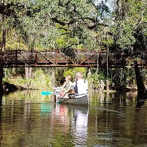 2-Hour Cypress Forest Guided Kayak Tour in Orlando at 4266 W Vine St,, Orlando, United States Lizp.com Special Offers, Deals & Discounts in USA