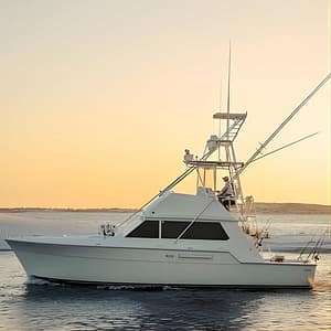 6 Hour Family Fun Fishing Charter on a 42’ Sportfish ,Alibi at 314 Harbor Blvd, Destin, United States Lizp.com Special Offers, Deals & Discounts in USA