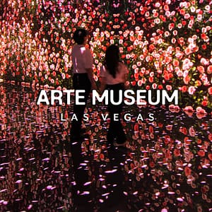 ARTE MUSEUM: An Immersive Media Art Exhibition at Arte Museum Las Vegas, Las Vegas, United States Lizp.com Special Offers, Deals & Discounts in USA
