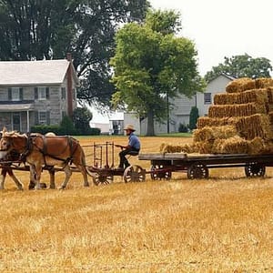 Amish Experience SuperSaver Package at The Amish Experience, Lancaster, United States Lizp.com Special Offers, Deals & Discounts in USA