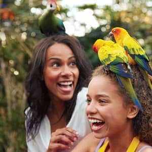 Aquatica San Antonio: Fast Track at Aquatica San Antonio, San Antonio, United States Lizp.com Special Offers, Deals & Discounts in USA