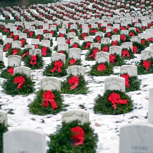 Arlington National Cemetery Guided Walking Tour: Semi-Private at Arlington National Cemetery Welcome Center, Washington DC, United States Lizp.com Special Offers, Deals & Discounts in USA