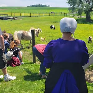 Authentic Tour & Meal with the Amish! at Discover Lancaster, Lancaster, United States Lizp.com Special Offers, Deals & Discounts in USA