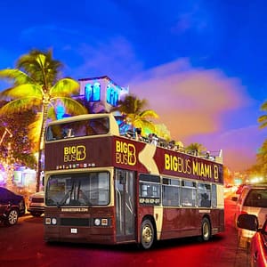 Big Bus Miami: Sightseeing Tour by Night at South Beach Miami, Miami, United States Lizp.com Special Offers, Deals & Discounts in USA