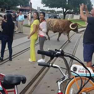Bikes and BBQ: Electric Bike Tour of Fort Worth at 129 W Leuda St, Fort Worth, United States Lizp.com Special Offers, Deals & Discounts in USA