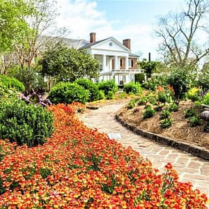 Boone Hall Plantation All-Access Admission Ticket at Boone Hall Plantation & Gardens, Charleston, United States Lizp.com Special Offers, Deals & Discounts in USA