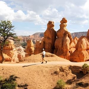 Bryce Canyon and Zion National Park Day Tour from Las Vegas at Treasure Island – TI Hotel, Las Vegas, United States Lizp.com Special Offers, Deals & Discounts in USA