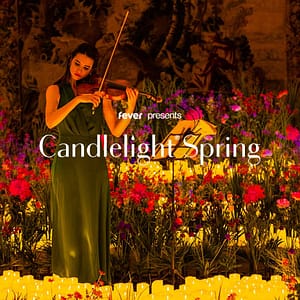 Candlelight Spring: A Tribute to Adele at Bolling Haxall House, Richmond, United States Lizp.com Special Offers, Deals & Discounts in USA