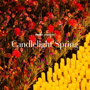 Candlelight Spring: Coldplay & Imagine Dragons at Centro Asturiano de Tampa, Tampa, United States Lizp.com Special Offers, Deals & Discounts in USA