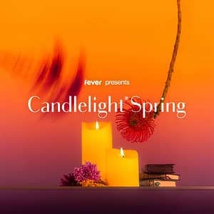 Candlelight Spring: Tribute to Adele at The Museum of Flight, Seattle, United States Lizp.com Special Offers, Deals & Discounts in USA