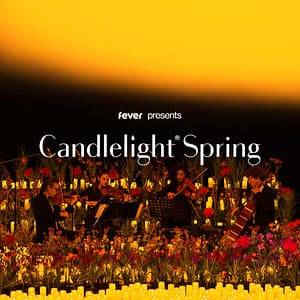 Candlelight Spring: Tribute to Fleetwood Mac at The Barrel Room at Triple C Brewing, Charlotte, United States Lizp.com Special Offers, Deals & Discounts in USA