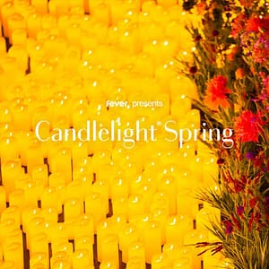 Candlelight Spring: Tribute to Taylor Swift at The Barrel Room at Triple C Brewing, Charlotte, United States Lizp.com Special Offers, Deals & Discounts in USA