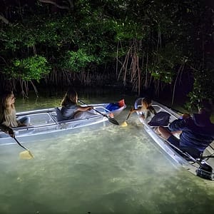 Clear Kayak LED Night Glass Bottom Tour – Siesta Key, FL at 1475 Siesta Dr, Sarasota, United States Lizp.com Special Offers, Deals & Discounts in USA