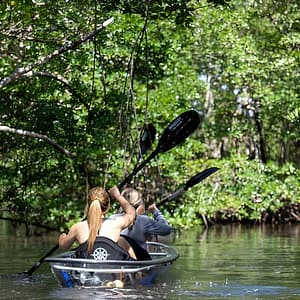 Clear Kayak Tour in North Miami Beach – Mangrove Tunnels at East Greynolds Park, Miami, United States Lizp.com Special Offers, Deals & Discounts in USA