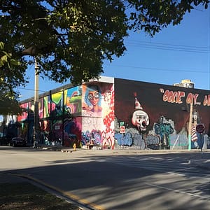 French Street Art Tour in Wynwood, Miami at 2230 NW 2nd Ave, Miami, United States Lizp.com Special Offers, Deals & Discounts in USA