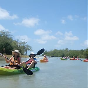 Guided Kayak Eco Tour – Bunche Beach at Kayak Excursions – Bunche Beach, Fort Myers, United States Lizp.com Special Offers, Deals & Discounts in USA