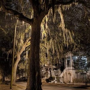 Late Night Savannah Haunted Pub Crawl at 1790 Inn, Savannah, United States Lizp.com Special Offers, Deals & Discounts in USA