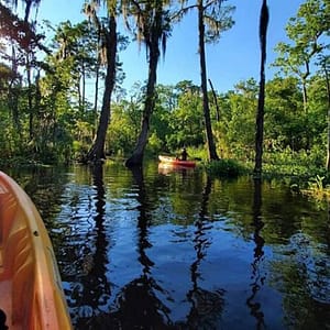 Manchac Swamp Kayak Tour at NOLA Cantina, New Orleans, United States Lizp.com Special Offers, Deals & Discounts in USA