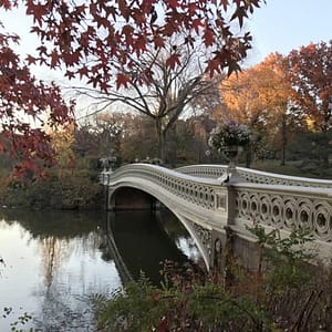 New York City Scavenger Hunt: Central Park Adventure at Terrace Drive, Central Park, New York, United States Lizp.com Special Offers, Deals & Discounts in USA