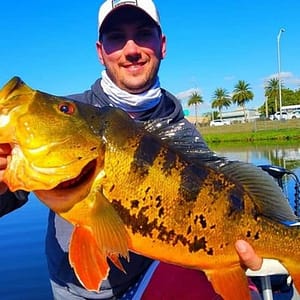 Peacock Bass Fishing Trips Near Miami Florida at 7950 NW 185th St, Miami, United States Lizp.com Special Offers, Deals & Discounts in USA