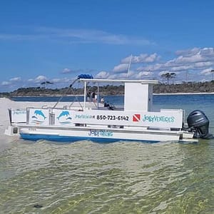 Private 3 Hour Powerboat Dolphin Cruise with Remote Beach Stop up to 6 guests at Pensacola Beach Marina, Pensacola, United States Lizp.com Special Offers, Deals & Discounts in USA