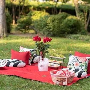 Private Picnic Experience in the Queen City at 301 E 7th St, Charlotte, United States Lizp.com Special Offers, Deals & Discounts in USA