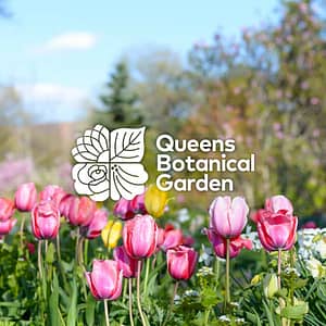 Queens Botanical Garden at Queens Botanical Garden, New York, United States Lizp.com Special Offers, Deals & Discounts in USA