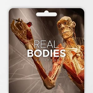 Real Bodies: A Journey Through the Human Experience – Gift Card at Horseshoe Las Vegas, Las Vegas, United States Lizp.com Special Offers, Deals & Discounts in USA
