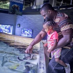 San Antonio Aquarium at San Antonio Aquarium, San Antonio, United States Lizp.com Special Offers, Deals & Discounts in USA