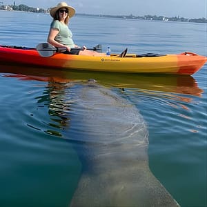Sarasota Mangrove Tunnel Guided Kayak Adventure at 190 Taft Dr, Sarasota, United States Lizp.com Special Offers, Deals & Discounts in USA