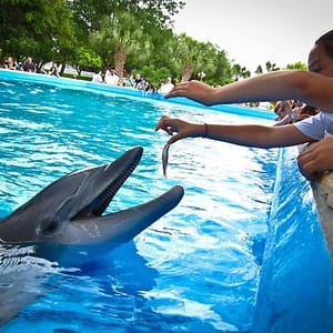 SeaWorld San Antonio: Fast Track at SeaWorld San Antonio, San Antonio, United States Lizp.com Special Offers, Deals & Discounts in USA