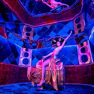 Superfunland at the Museum of Sex! Journey Into The Erotic Carnival at Museum of Sex, New York, United States Lizp.com Special Offers, Deals & Discounts in USA