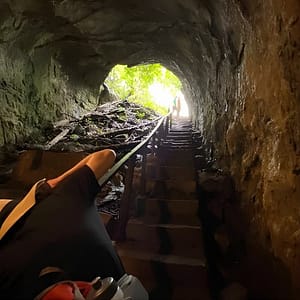 The Giant Tortoise Experience | Lava Tubes + Los Gemelos (Shared Tour) at Ave Charles Darwin 854, Santa Cruz, United States Lizp.com Special Offers, Deals & Discounts in USA