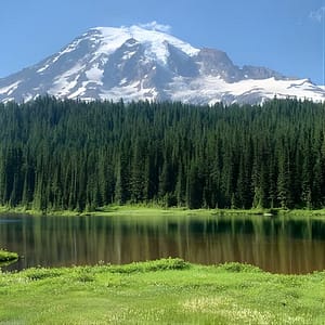Touring and Hiking in Mt. Rainier National Park at 415 Pine St, Seattle, United States Lizp.com Special Offers, Deals & Discounts in USA