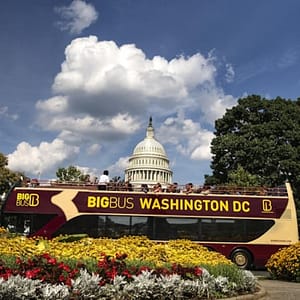 Washington D.C. Night Tour at International Spy Museum, Washington DC, United States Lizp.com Special Offers, Deals & Discounts in USA