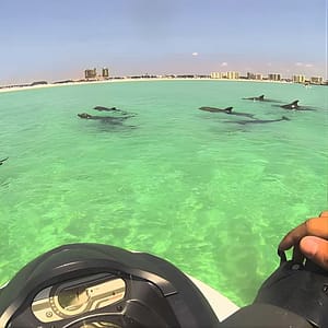 Waverunner Dolphin Tour at Power Up Watersports, Destin, United States Lizp.com Special Offers, Deals & Discounts in USA