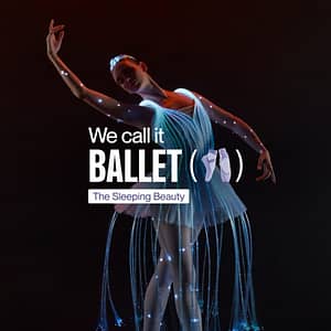 We call it Ballet: Sleeping Beauty Dance & Light Show at The Howard Theatre, Washington DC, United States Lizp.com Special Offers, Deals & Discounts in USA