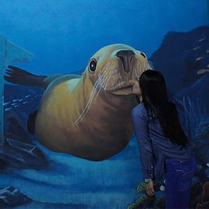 3d World Selfie Museum Dubai – Museums Lizp.com Special Offers, Deals & Discounts in USA