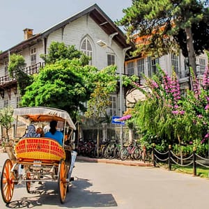 Daily Princes’ Islands Tour: Full-Day Trip in Istanbul – Sightseeing and Tours Lizp.com Special Offers, Deals & Discounts in USA