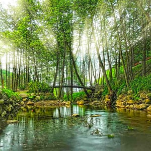 Daily Sapanca and Masukiye Tour: Full-Day Trip From Istanbul – Sightseeing and Tours Lizp.com Special Offers, Deals & Discounts in USA