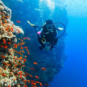 Diving Experience in Khasab – Outdoor Attractions Lizp.com Special Offers, Deals & Discounts in USA