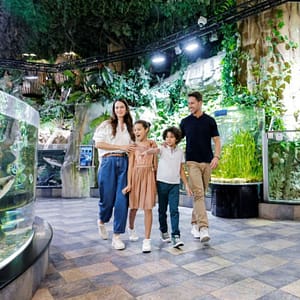 Dubai Aquarium & Underwater Zoo – Ultimate Experience – Experiences Lizp.com Special Offers, Deals & Discounts in USA