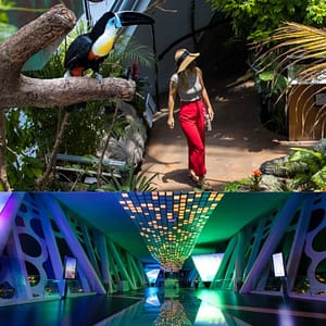 Dubai Frame + The Green Planet Dubai – Combo – Must-see attractions Lizp.com Special Offers, Deals & Discounts in USA