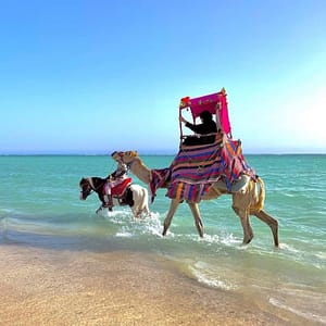 Full Day Obhur & Beach Tour With Transfers – Recently Added Experiences Lizp.com Special Offers, Deals & Discounts in USA