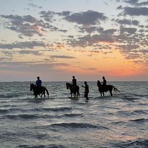 Horse Riding in Jeddah – Experiences Lizp.com Special Offers, Deals & Discounts in USA