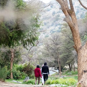 In Hike to the Ain Jamal Waterfall – Recently Added Experiences Lizp.com Special Offers, Deals & Discounts in USA