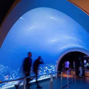 Marassi Aquarium & Underwater Zoo Tickets – Top-Rated Attractions Lizp.com Special Offers, Deals & Discounts in USA