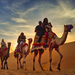 Premium Red Dunes Safari with Camel Ride & 3 Cuisines at Al Khayma Camp – Desert safaris Lizp.com Special Offers, Deals & Discounts in USA