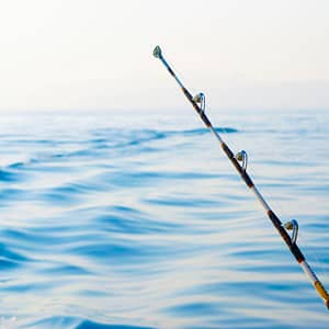 Private fishing boat tour – Sightseeing and Tours Lizp.com Special Offers, Deals & Discounts in USA